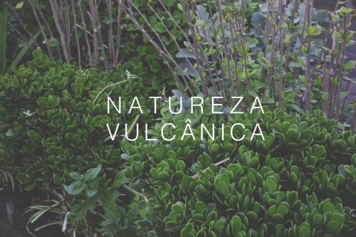 Natureza Vulcânica Mosteiros portugal