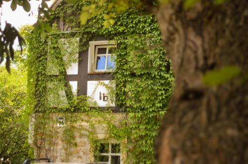 Naturferienwohnung Schöpstal Kunnersdorf allemagne