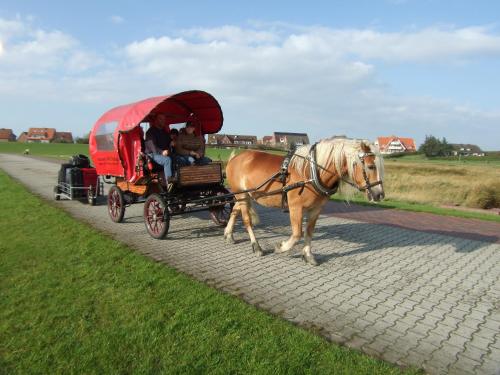 Naturhotel Baltrum Baltrum allemagne