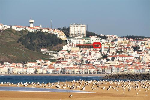 NAZARÉ SURF APARTMENT Nazaré portugal