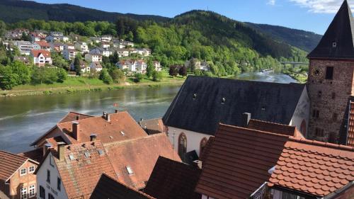 Neckarblick,Natur, Altstadt Hirschhorn allemagne