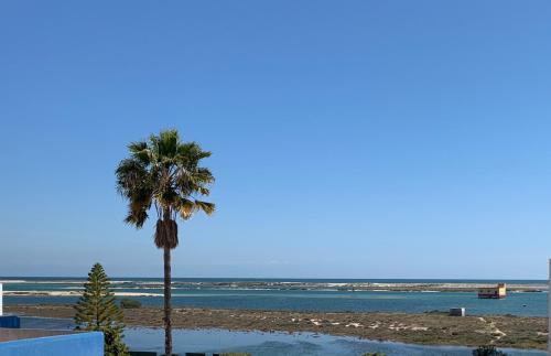 NEU CasaBlanca - Haus am Meer Fuzeta portugal