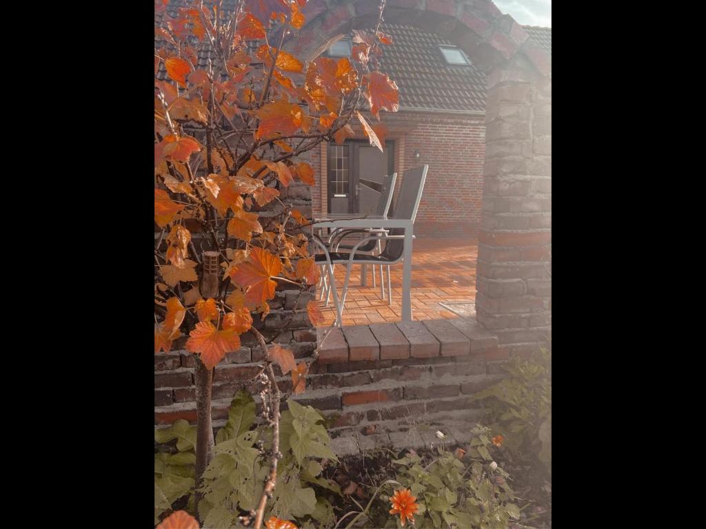 Maison de vacances NEU! Ferienhaus am Moor Rhododendronstr. 146, 26639 Wiesmoor