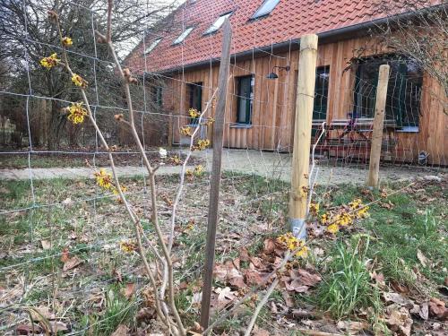 NEU Ferienwohnung Broockhof Reimershagen allemagne