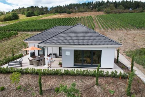 NEU - Premium-Ferienhaus MOSEL-SONNE Traben-Trarbach allemagne