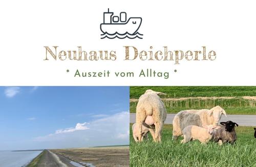 Neuhaus Deichperle Krummhörn allemagne