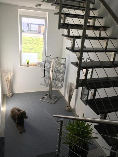 Appartement Neurieder Unterkunft Langemattstr 17 1 Obergeschoss Neuried