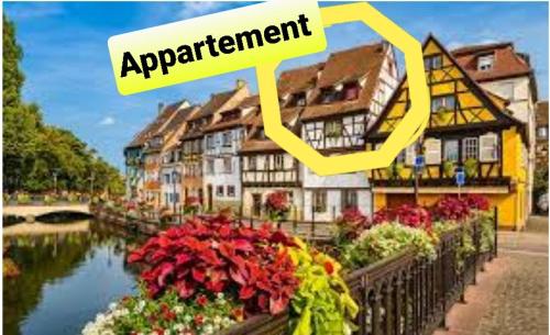 NEW ! LA PETITE VENISE avec Parking privé Colmar france