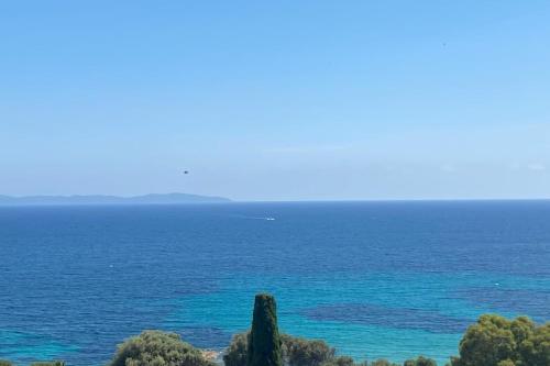 Nice and bright 60 m with TERRACE-VIEW on the SEA Ajaccio france