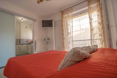 Nice and comfort studio for 2 in the CENTRE-VILLE Saint-Raphaël france