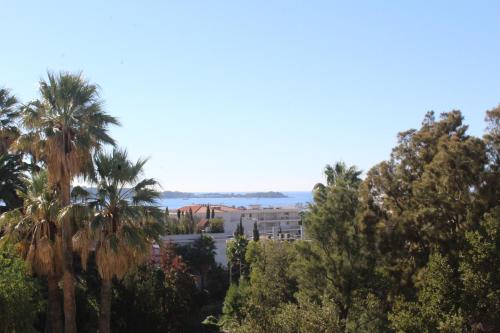 Appartement Nice Booking Cannes LES PERVENCHES Les Pervenches 68 Boulevard Alexandre III Cannes