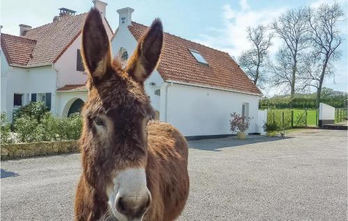 Appartement Nice home in Inxent with WiFi  Beussent