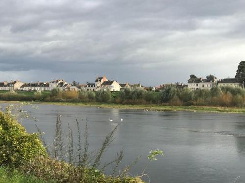 Nid douillet bord de Loire Blois france