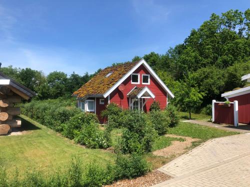 Maison de vacances Norweger Haus am Tollensesee Am Ziegelberg 8 Tollenseheim Groß Nemerow