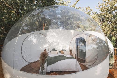 Ô Clair de Bulles Sylvestre Monmares france