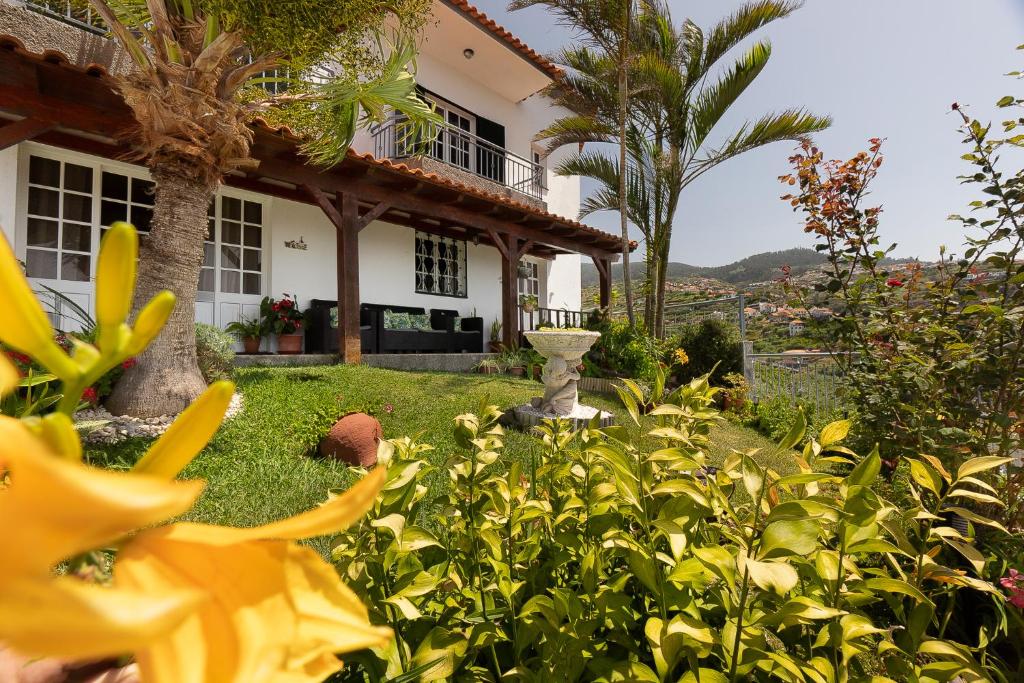 Maison de vacances O Meu Sonho Rua São João 147, 9370-763 Calheta