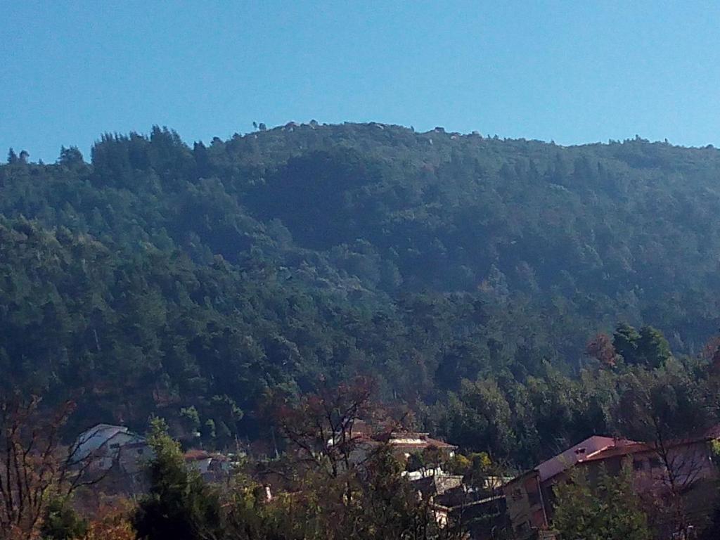 Maison d'hôtes O Pimpao Lugar de Chã de Ermida, 237, 4845-070 Gerês