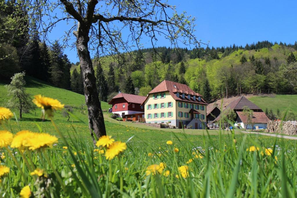 Appartements Offenburger Hof In der Steig 4, 77978 Schuttertal