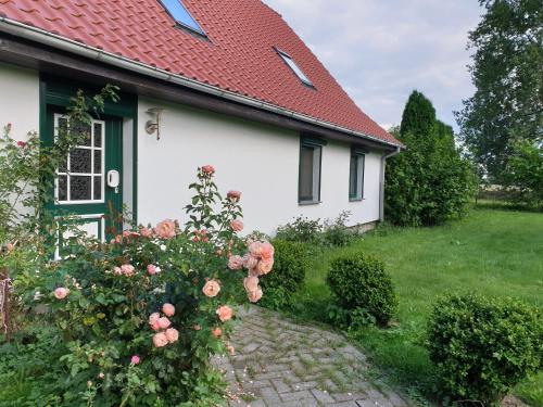 Maison de vacances Öko-Ferienhaus 3 Feldrainstraße Neu-Kartzitz Rappin