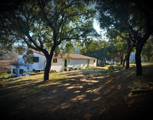 Séjour à la ferme Oliveira Cam. Da Alagoa Coutada