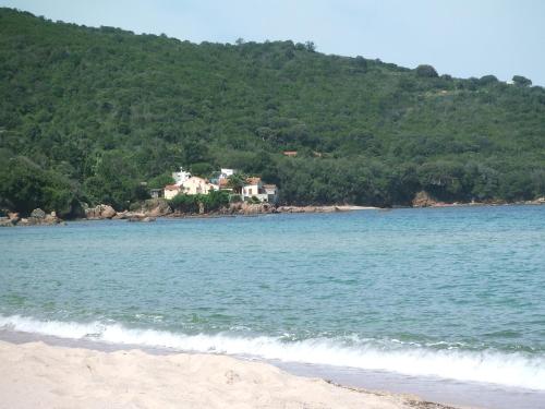 Appartements Orcino Entre Mer et Maquis Orcino Route d'Ancone Calcatoggio