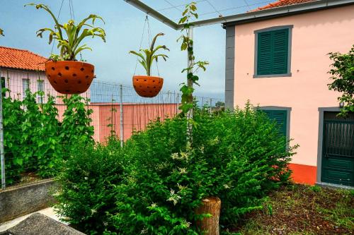 Maison de vacances Os Ferreirinhos, a Home in Madeira Estrada do Pomar, 6 São Jorge