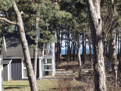 Maison de vacances Ostsee Strandhaus Seerobbe Dünenweg 235 Baabe