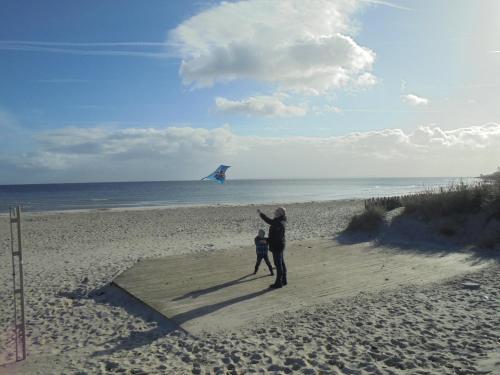 Ostseestern Damp allemagne