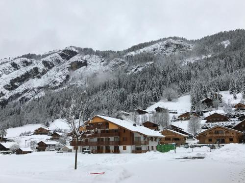 Appartement Paljot Residence Florimontagne, Gebouw B, Appartement 6, Route des Contamines La Chapelle-dʼAbondance