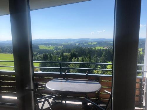 Appartements Panorama Bayerwald 24 Duschlberg Neureichenau