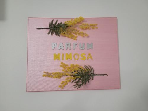 Parfum mimosa Grasse france