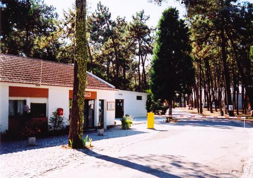 Camping Parque de Campismo Orbitur Sao Jacinto Estrada Nacional 327 - Km 20, Sao Jacinto São Jacinto