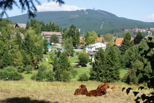 Paulsberg`s Villa Braunlage allemagne