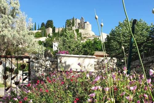 Pause couleur Lavandula Roussas france