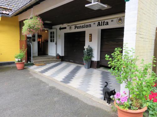 Pension Alfa Sankt-Andreasberg allemagne