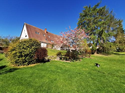 Pension Am Kirschberg Bannewitz allemagne