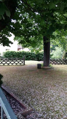 Maison d'hôtes Pension am Tharandter Wald Hauptstraße 8 Grillenburg