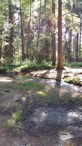 Pension am Tharandter Wald Grillenburg allemagne