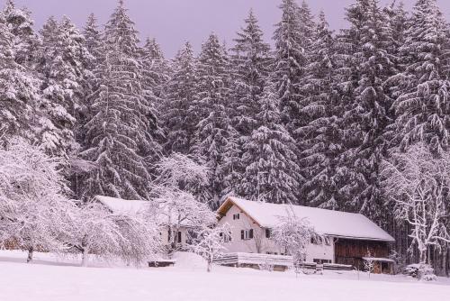 Pension am Waldesrand Regen allemagne