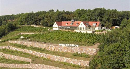 Pension Bella Vista - Winzerhof Golk Meissen allemagne