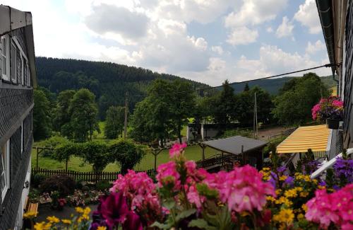 Maison d'hôtes Pension Bergfrieden Mittelsorpe 7 Schmallenberg