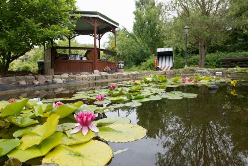 Maison d'hôtes Pension Deichgraf Middelhagen Dorfstraße 45b Middelhagen