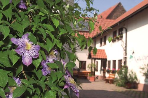 Pension Gästehaus Kachelofa Vaihingen-sur-l\'Enz allemagne