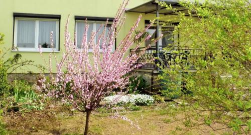 Auberge Pension Haus Germania Rudolstädter Str. 151 Erfurt