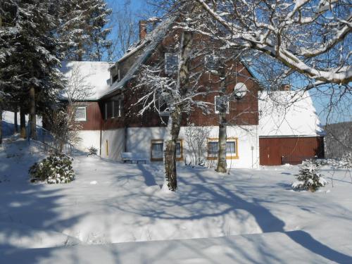 Pension Haus Pentacon Kurort Altenberg allemagne