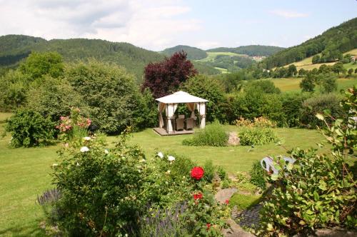 Maison d'hôtes Pension Hoisl Rammelsberger Str. 22 Schönberg