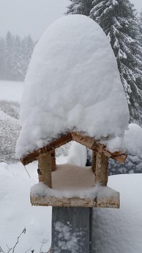 Maison d'hôtes Pension Holl und Boll Am Hexenstieg. An der Ziegelhütte 5 Clausthal-Zellerfeld