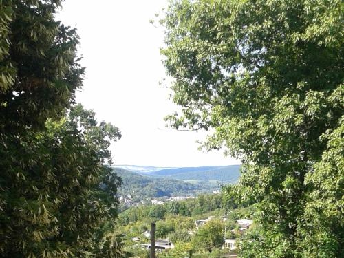 Maison d'hôtes Pension Irmisch Am Waldsaum 43 Aue