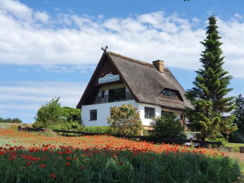 Pension Petersen Bergen auf Rügen allemagne