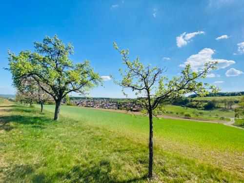 Maison d'hôtes Pension Schmitt Heissenweg 9 Waldfenster